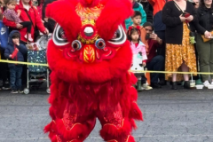 chineseny4